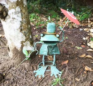 カエルタップダンス