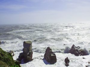 奇岩台風_JALAN_170918