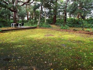 嵐の後1_JALAN_170418