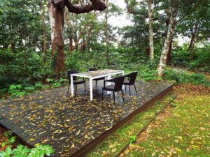 嵐の後2_JALAN_170418