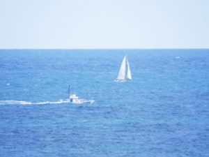 DSCF7894_JALAN_170605