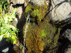 お水取り4_JALAN_170918